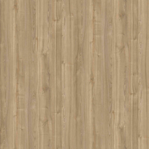 gambar gambar High-Pressure-Laminate-Frantinco - Royal-Woodgrain FWS 2370 XX Claro Elm (A12)