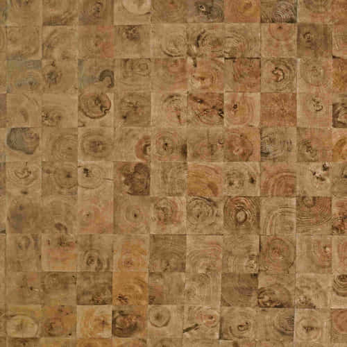 gambar gambar High-Pressure-Laminate-Frantinco - Woodgrain-Feeling FW 8434 F Tree Wood  (A12)