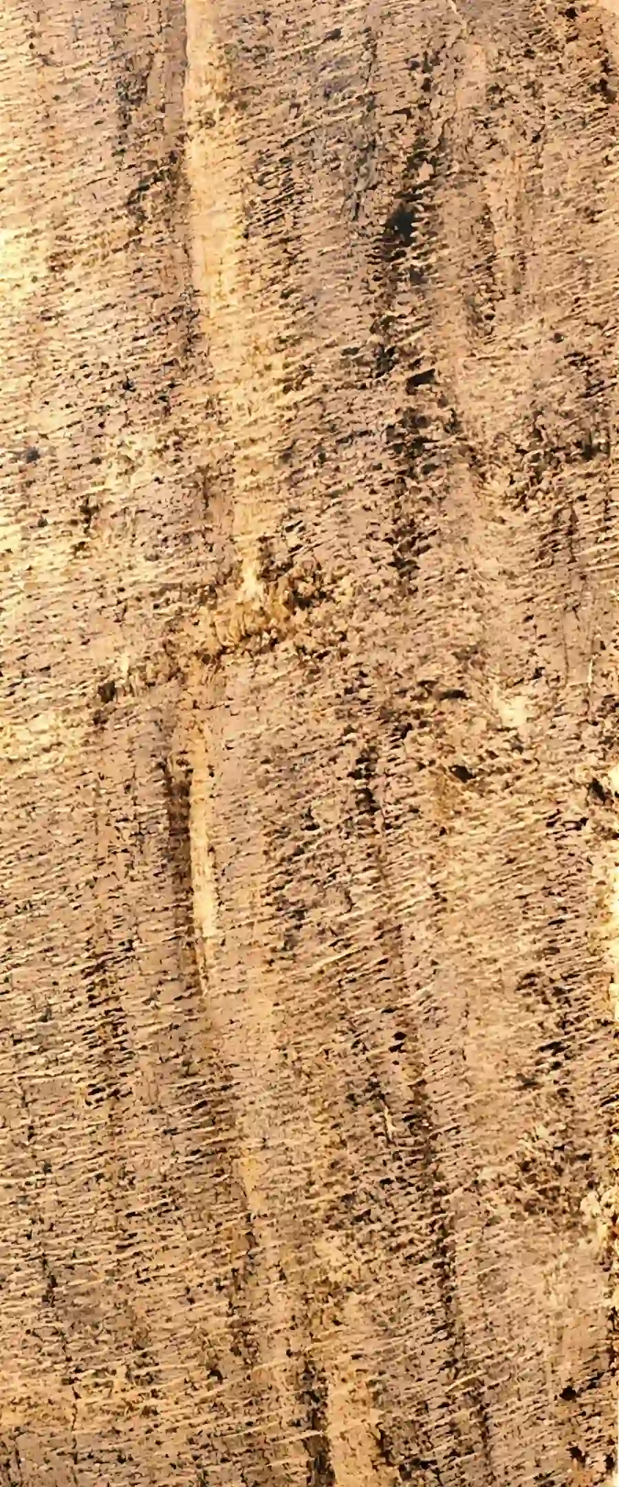 FLS 1005 Savana Vintage